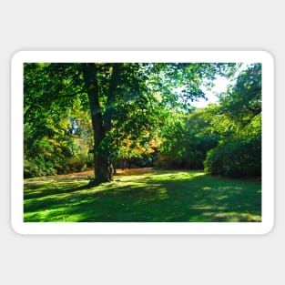 Garden with shades of light in autumn fall Sticker